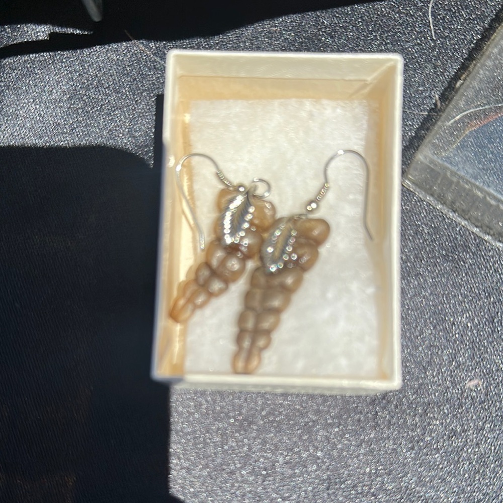 Elegant Rattle snake Rattler Brown Earrings